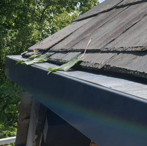 Aluminium Leaf Guard